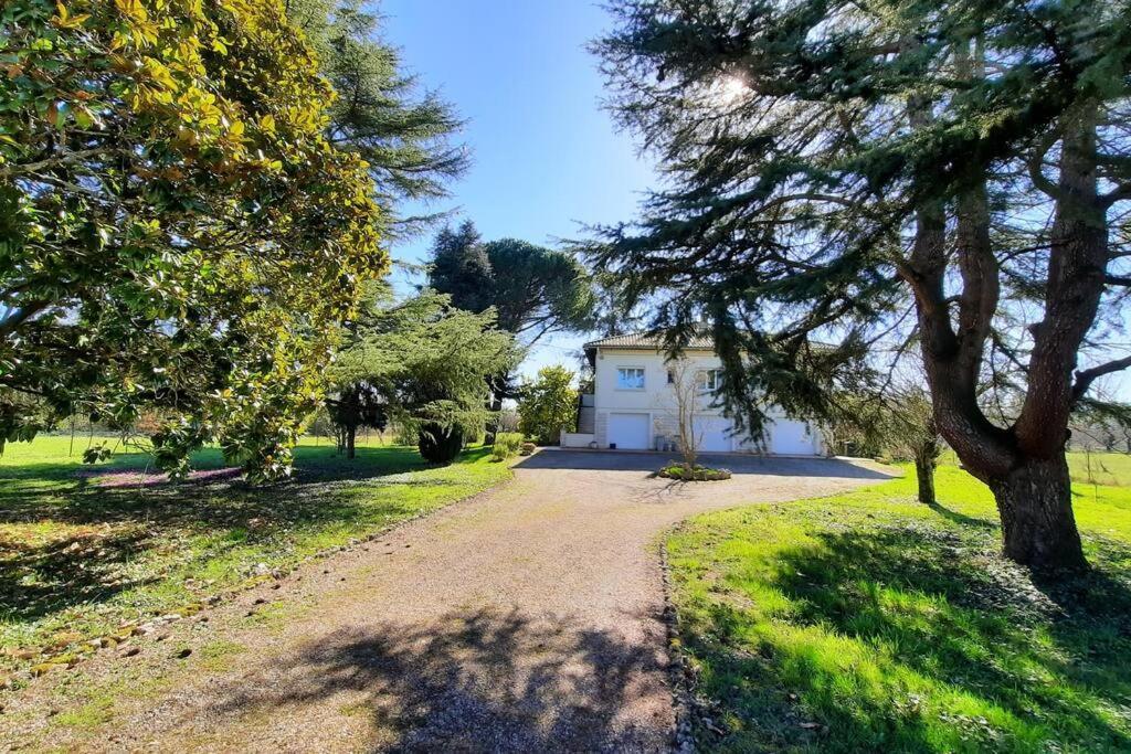 La Maison De Lili Colayrac-Saint-Cirq Εξωτερικό φωτογραφία