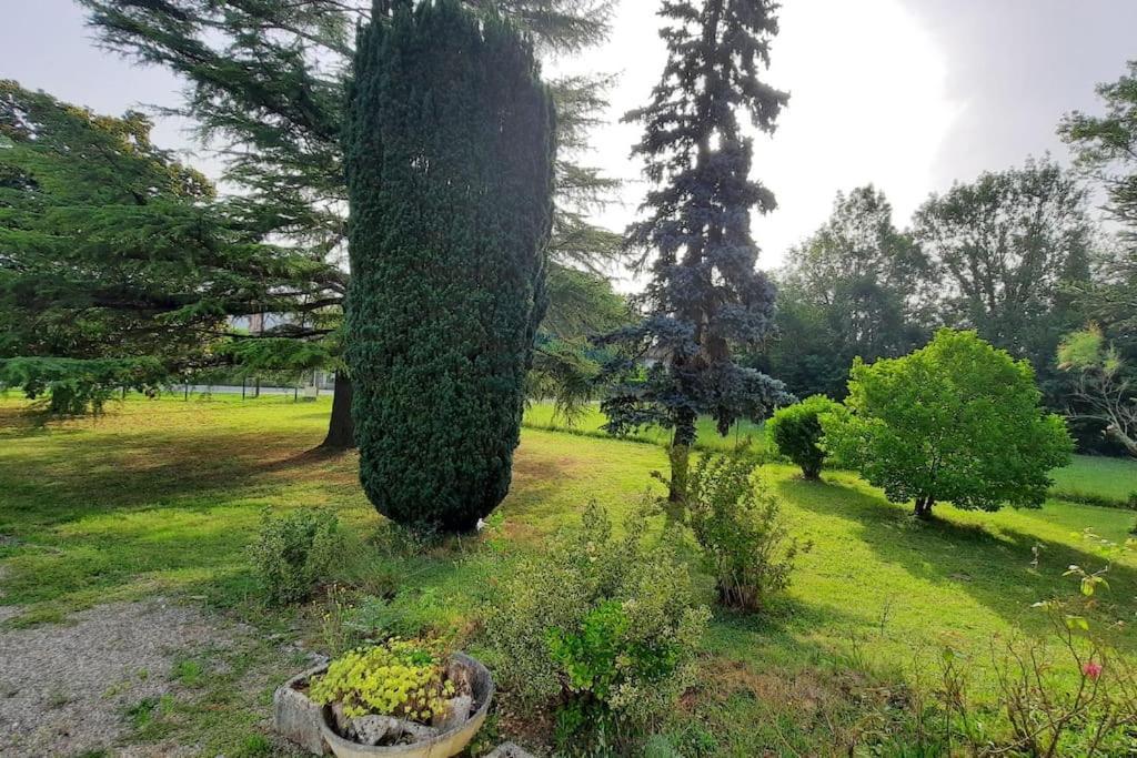 La Maison De Lili Colayrac-Saint-Cirq Εξωτερικό φωτογραφία