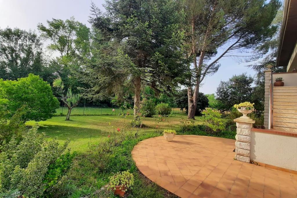 La Maison De Lili Colayrac-Saint-Cirq Εξωτερικό φωτογραφία