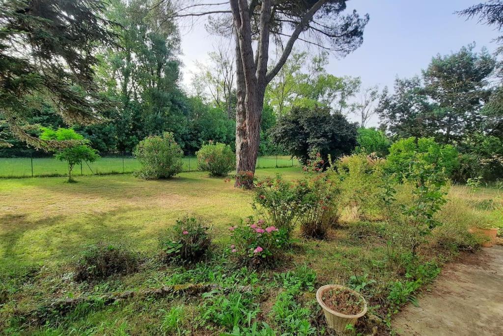 La Maison De Lili Colayrac-Saint-Cirq Εξωτερικό φωτογραφία