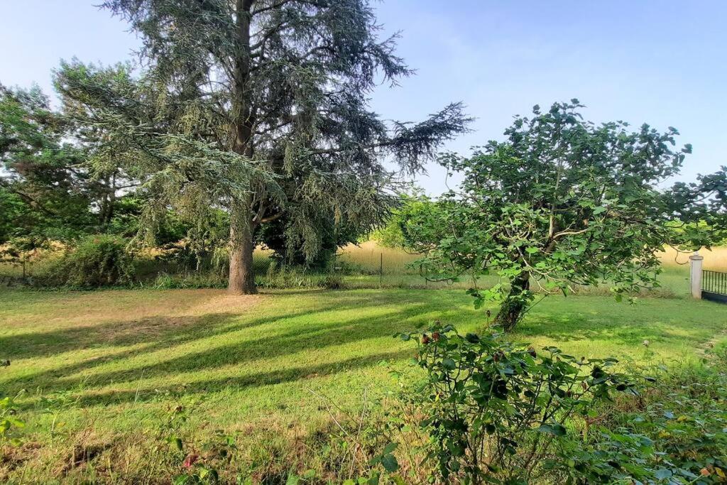 La Maison De Lili Colayrac-Saint-Cirq Εξωτερικό φωτογραφία